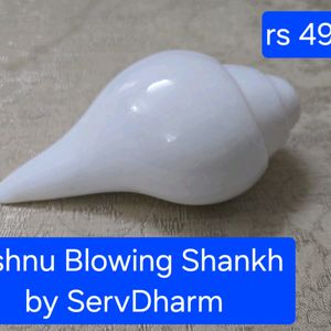 Vishnu Blowing Shankh By ServDham