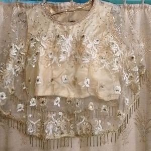 Beautiful Backless Golden Blouse With Pochu