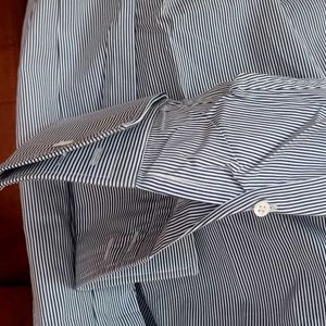 Authentic Zara Wing Collar