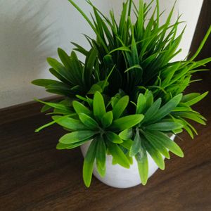 Artificial Flower Pot | Home Decor Item