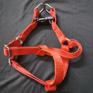 Small To Medium Size Dog Body Belt