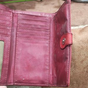 Baggit Wallet