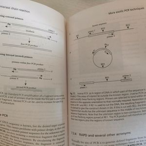 An Introduction to Genetic Engineering