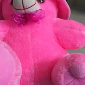 Pink Teddy Bear