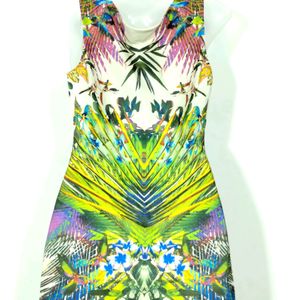 Multicolour Printed Sleeveless Dress (Women)