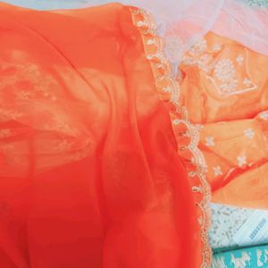 Net Embroidered Orange Saree