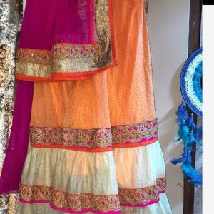 Lehnga Cunni No Blouse