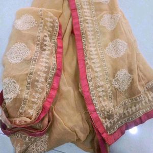 Beige emboidery soft light pure jorget dupatta