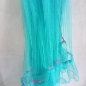 Multi Colour Net Dupatta