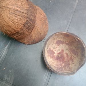 10 Coconut Shell