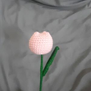 Pink Crochet TULIP