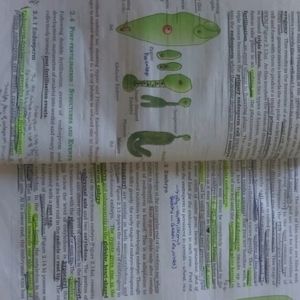 NCERT BIOLOGY CLASS 12