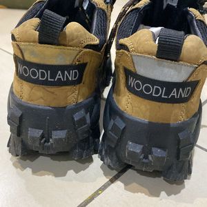 Woodland Gents Boot