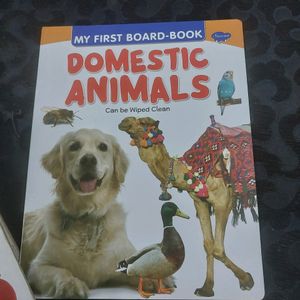 BOARD BOOK (DOMESTIC ANIMALS)