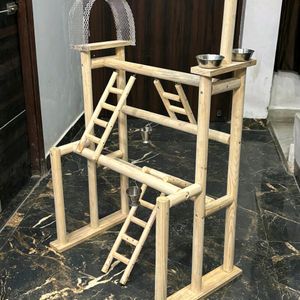 Parrot Playing Stand & Activities This Amazing Kit