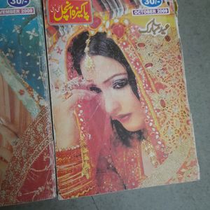 Urdu Novel