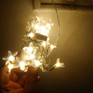 Brand New Flowers Led Series For Decoration | 40Fe