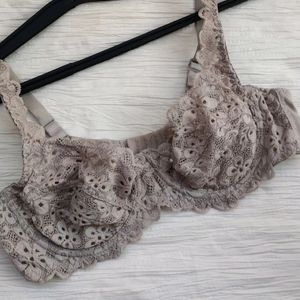 Sheer Trendy Bra