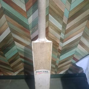 SS Cricket Bat