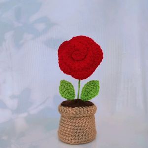 Crochet Rose Flower Pot