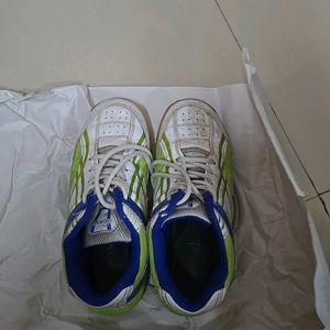 Branded Sports Shoes