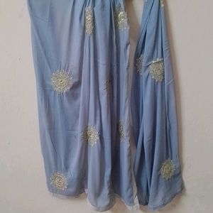 Organza Salwar Suit