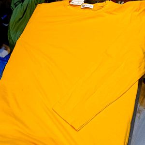 Golden Yellow Zara T-shirt