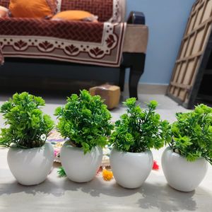 Pack Of 4 Artificial Plants