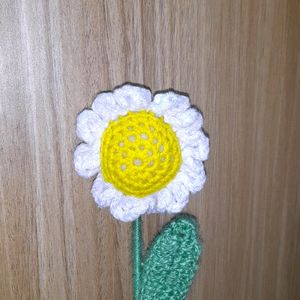 Crochet Daisy🌼