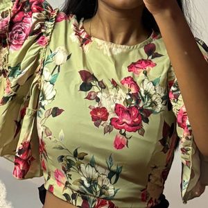 Sassafras Crop Top With Bell Sleeves