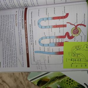 Allen Biology Modules