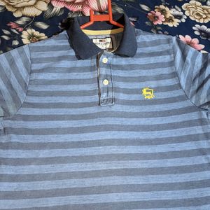 Striped Polo T-Shirt 👕 For Men