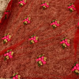 Red Colour Net Saree