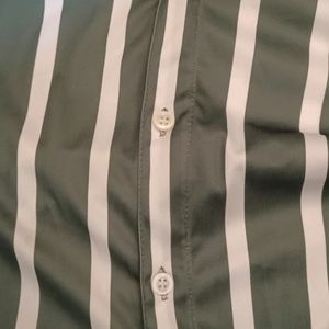 Strip Green And White Shirt