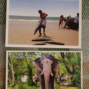 15 Goa Post Cards