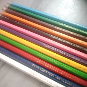 CAMLIN COLOUR PENCILS