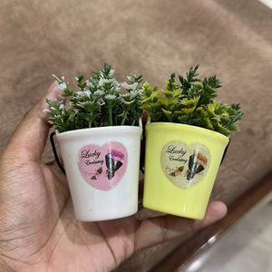 Pack Of 2 Planters Fridge Magnet