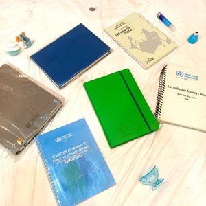 Pack Of 8 New Diaries