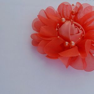 Hair Clip