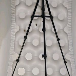 Best Offer Ringlight With Tripod Stand