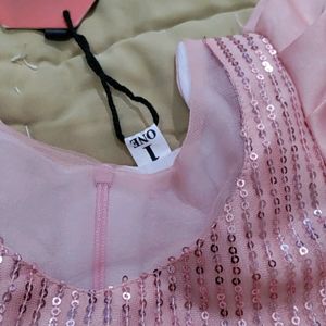 Sequence Dress with highlighted net sleeve-Pi