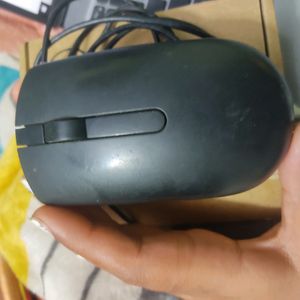 Dell MS116 USB Optical Mouse