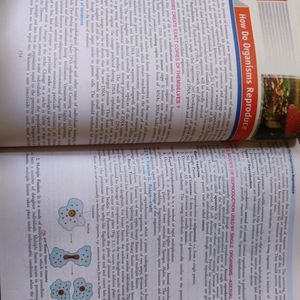 NCERT books