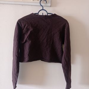 Brown Crop Sweetshirt