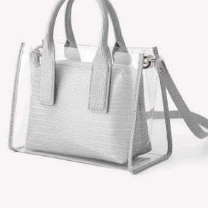 Zara Transparent Croc Bag