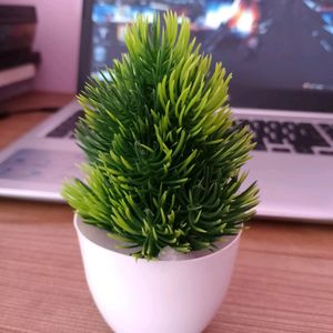 5 Artificial Plant Set for Home Decor