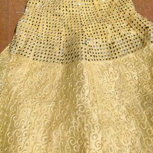 Embroidered Lehenga Choli