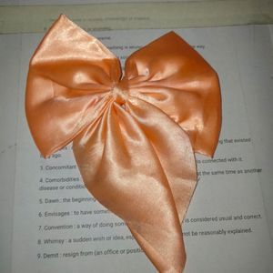 Hair Ribbon