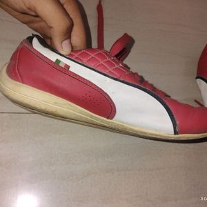 Puma Shoes