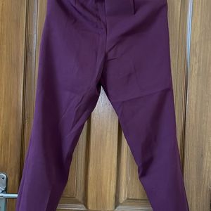 Purple Ankle Length Trouser